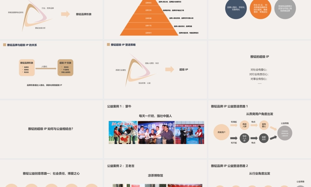 25.雅钲品牌营销建议案补充方案.pptx