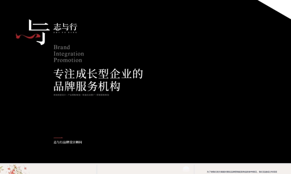 26.雅钲燕窝品牌营销建议案.pptx