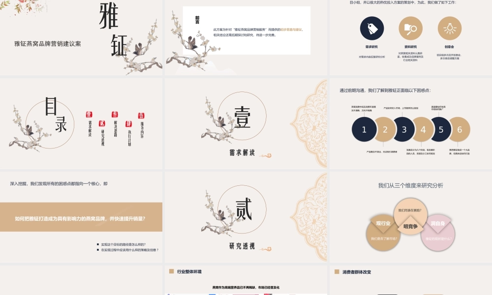 26.雅钲燕窝品牌营销建议案.pptx