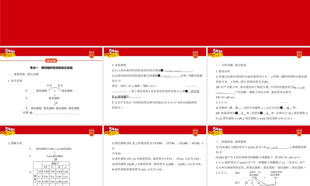 1_12-专题十二　基因的自由组合定律.pptx