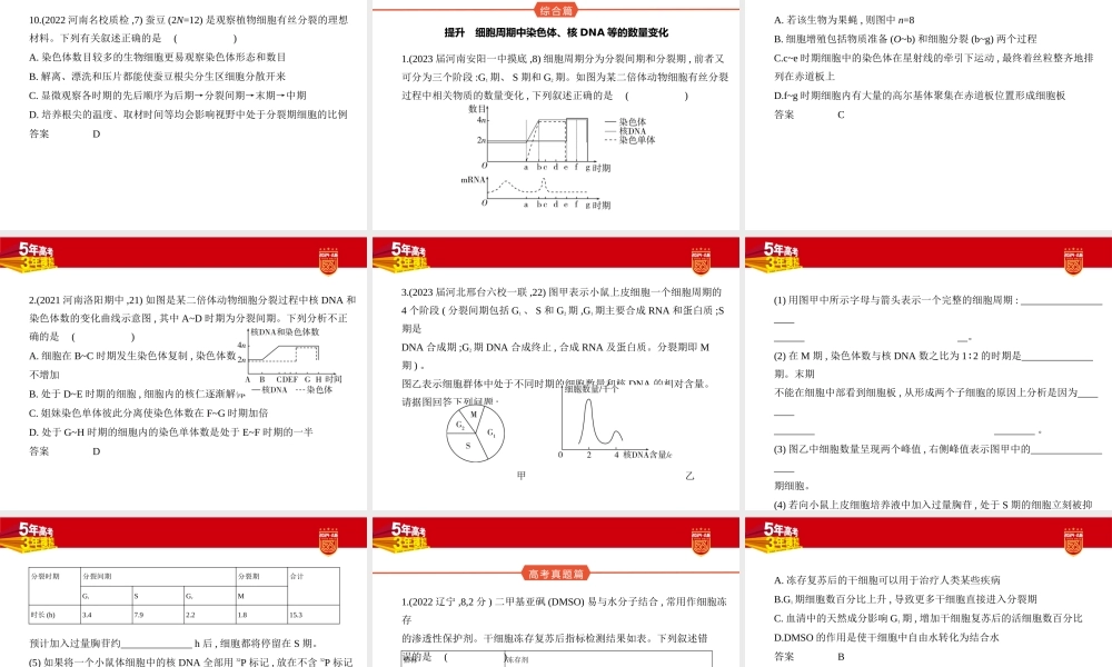 1_7-专题七　细胞的增殖.pptx