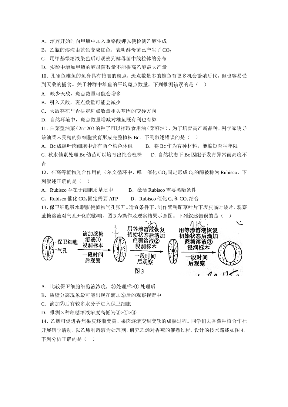 2021年高考真题—— 生物（广东卷） (原卷版）.doc_第3页