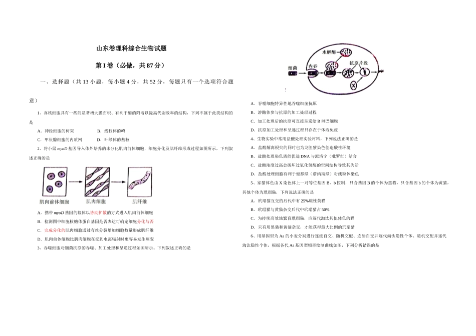 2013年高考真题 生物(山东卷)（原卷版）.docx_第1页
