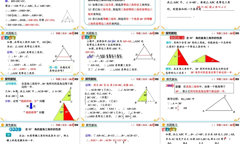 1.1 等腰三角形（第4课时）.pptx