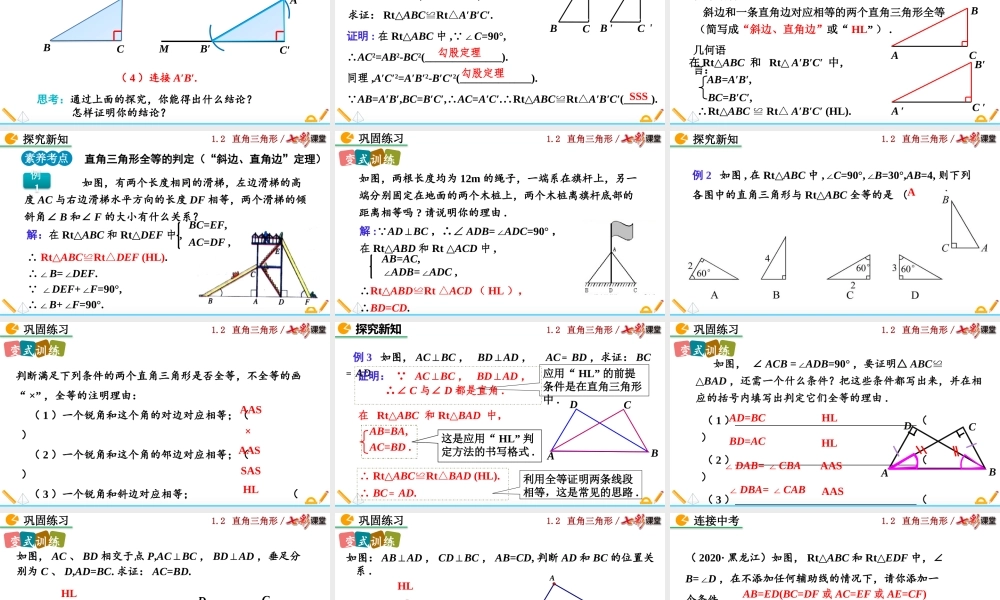 1.2 直角三角形（第2课时）.pptx