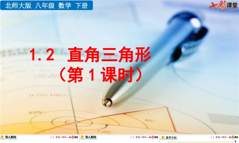 1.2 直角三角形（第1课时）.pptx