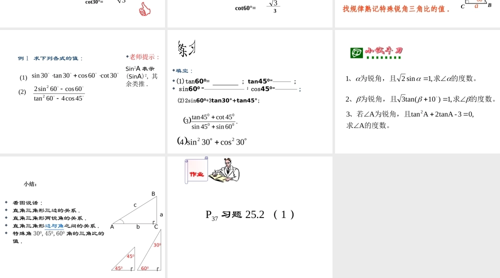 25.2 求锐角的三角比的值 课件.ppt