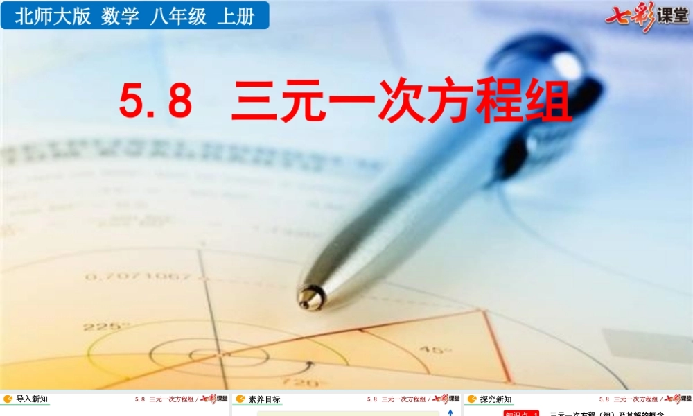 5.8 三元一次方程组.pptx