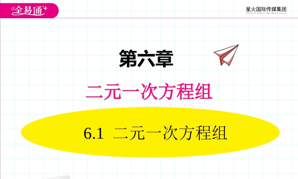 6.1 二元一次方程组.ppt