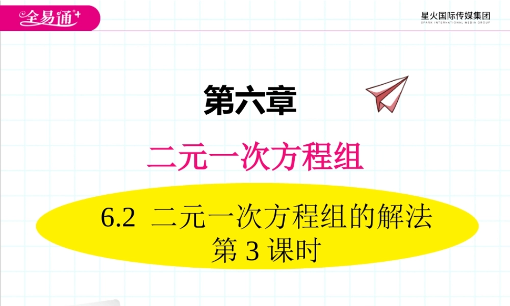 6.2 二元一次方程组的解法 第3课时.ppt
