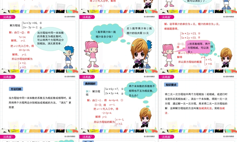 6.2 二元一次方程组的解法 第3课时.ppt