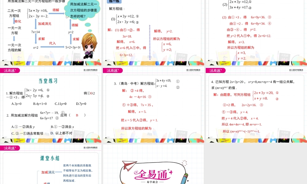 6.2 二元一次方程组的解法 第3课时.ppt