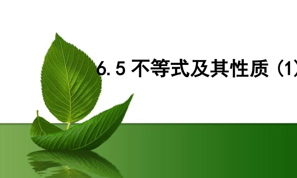 6.5 不等式及其性质 课件（15张ppt）.ppt