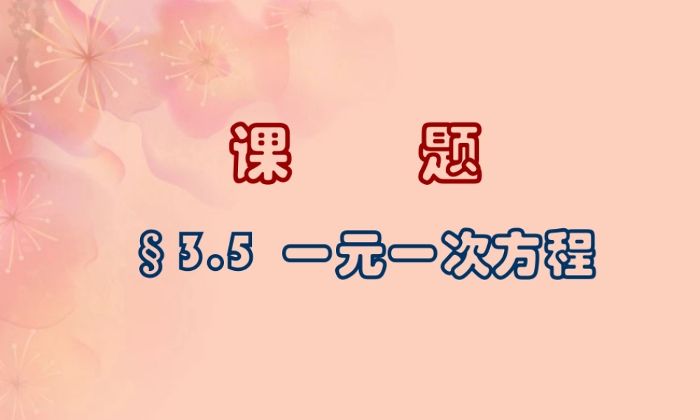 北京课改初中数学七上《2.5一元一次方程》PPT课件 (5).ppt