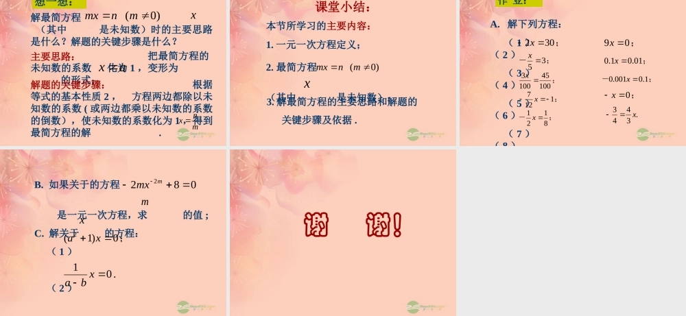 北京课改初中数学七上《2.5一元一次方程》PPT课件 (5).ppt