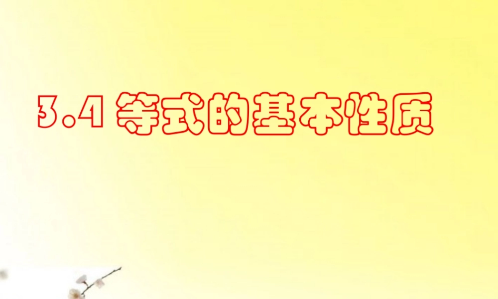 北京课改初中数学七上《2.4等式的基本性质》PPT课件 (3).ppt