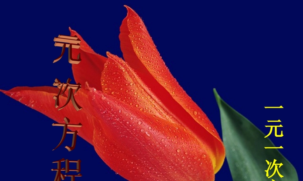 北京课改初中数学七上《2.5一元一次方程》PPT课件 (2).ppt