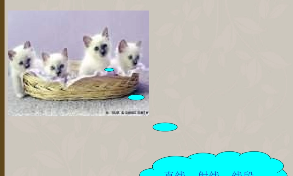 北京课改初中数学七上《3.5直线、射线》PPT课件.ppt