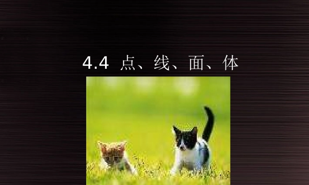 北京课改初中数学七上《3.4点、线、面、体》PPT课件 (1).ppt