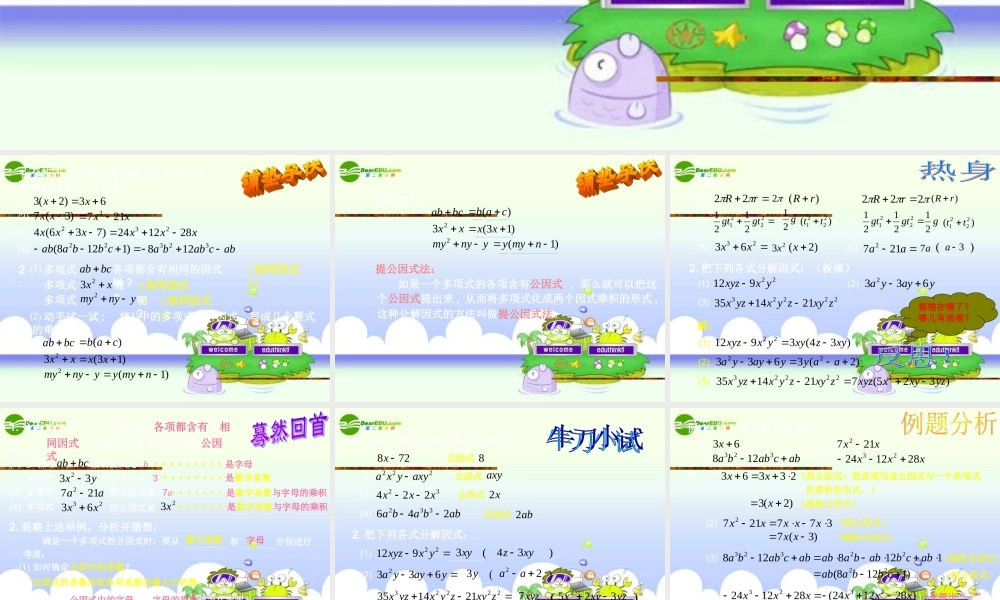 北京课改初中数学七下《8.2提公因式法》PPT课件 (2).ppt