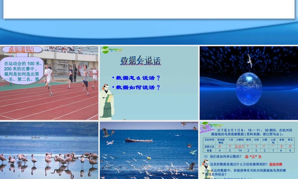 北京课改初中数学七下《9.2数据的收集与整理》PPT课件 (3).ppt