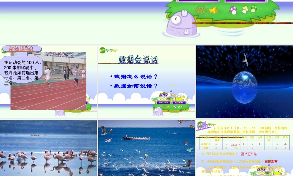 北京课改初中数学七下《9.2数据的收集与整理》PPT课件 (2).ppt