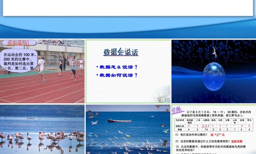 北京课改初中数学七下《9.2数据的收集与整理》PPT课件 (4).ppt