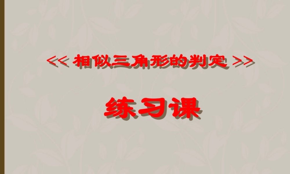 北京课改初中数学九上《19.5相似三角形的判定》PPT课件 (2).ppt
