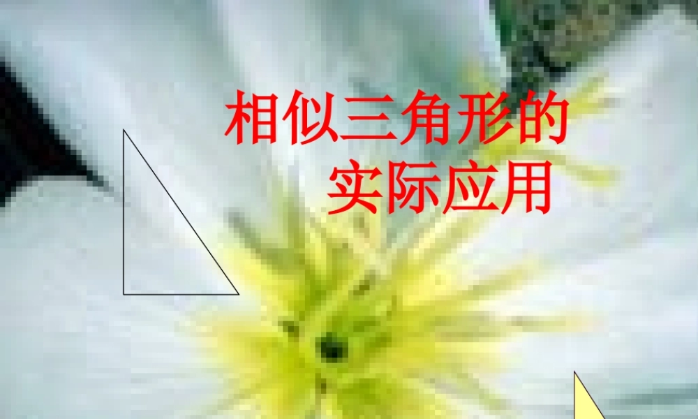 北京课改初中数学九上《19.7相似三角形的应用课件 北京课改版.ppt