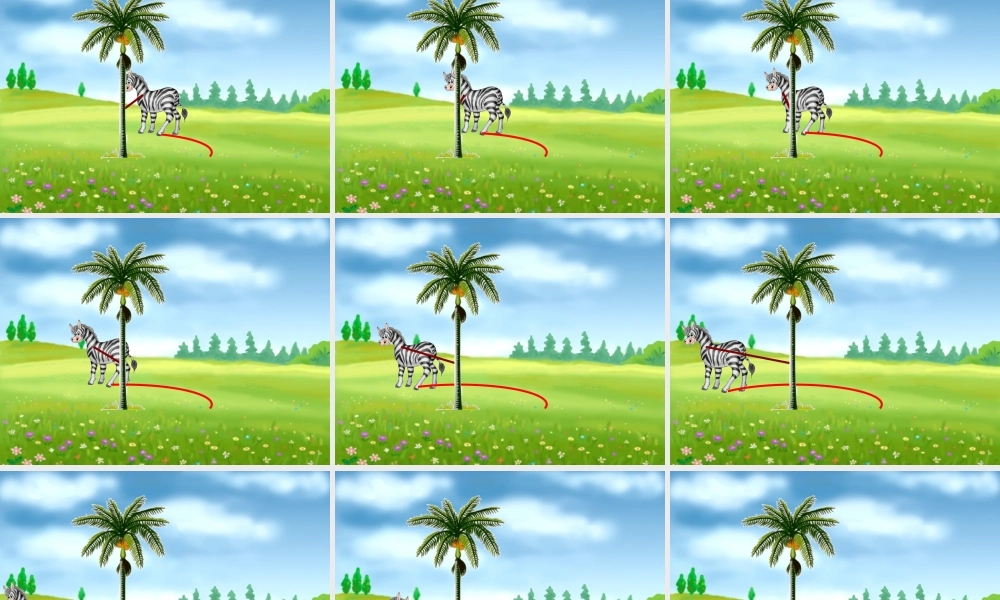 北京课改初中数学九上《22.1圆的有关概念 课件 北京课改版.ppt