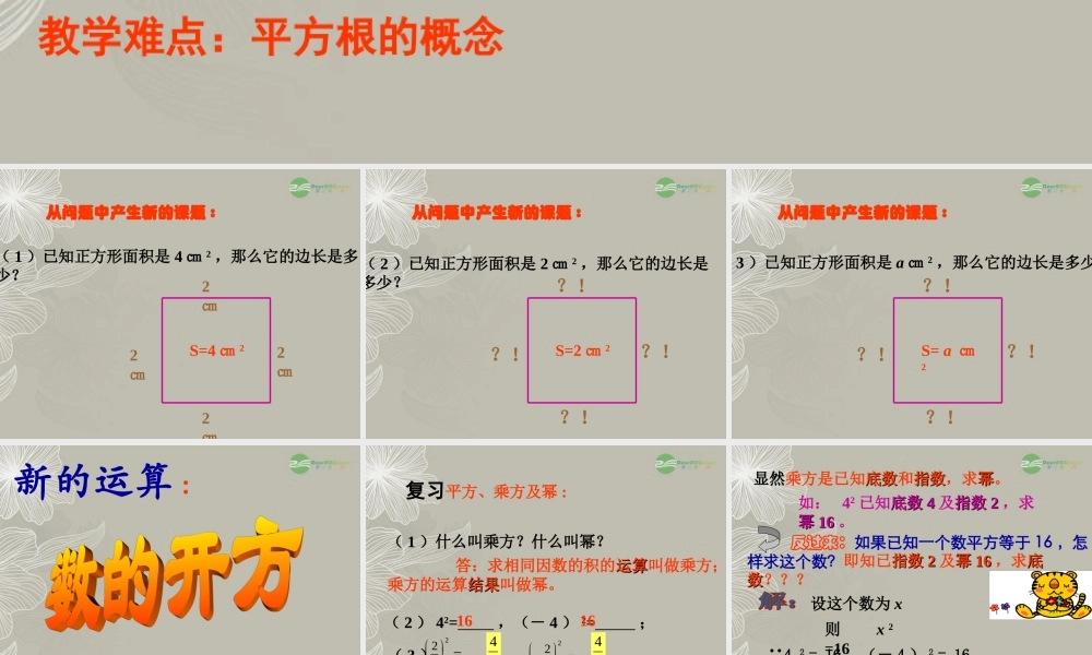 北京课改初中数学八上《11.1平方根》PPT课件 (1).ppt