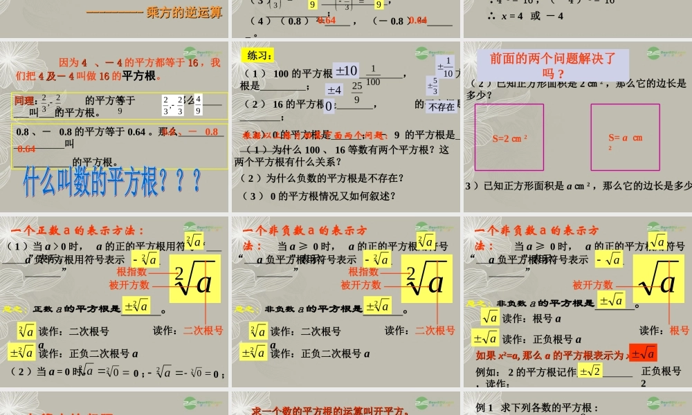 北京课改初中数学八上《11.1平方根》PPT课件 (1).ppt