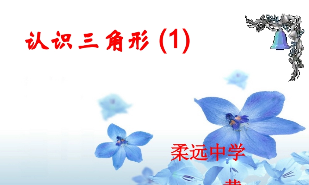 北京课改初中数学八上《12.1三角形》PPT课件.ppt