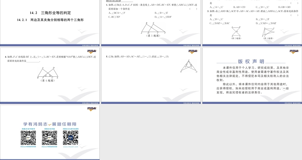 14.2.1两边及其夹角分别相等的两个三角形.pptx