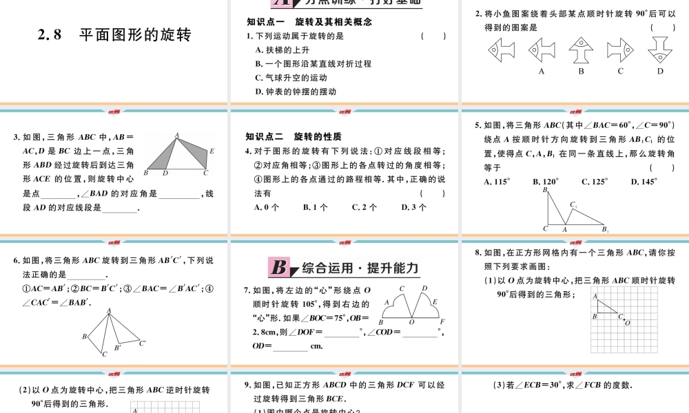 2.8平面图形的旋转.pptx