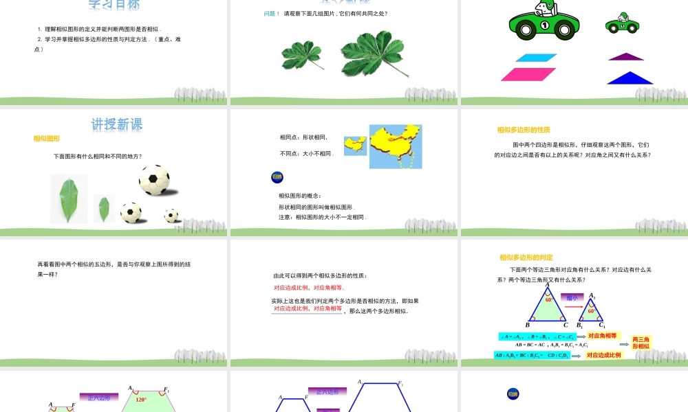 25.7相似多边形和图形的位似 第1课时.ppt