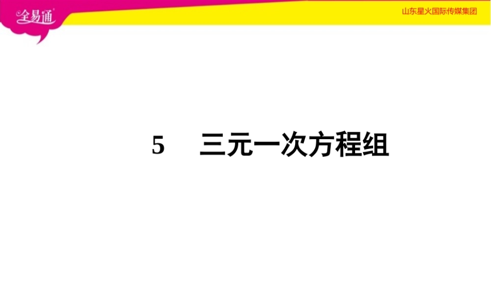 5 三元一次方程组.ppt