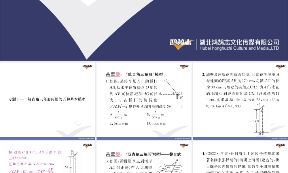 专题11 解直角三角形应用的五种基本模型.pptx