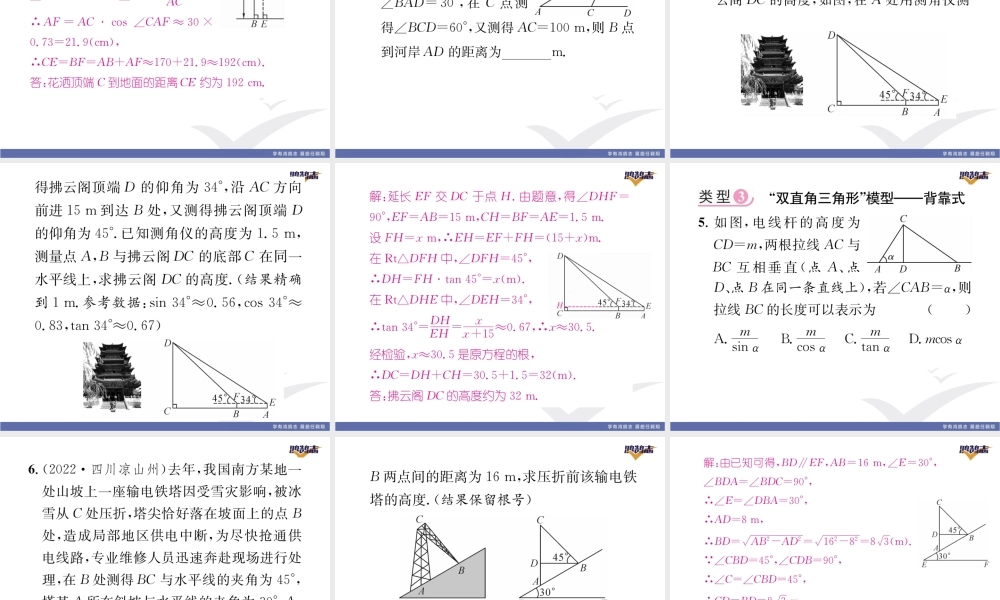 专题11 解直角三角形应用的五种基本模型.pptx