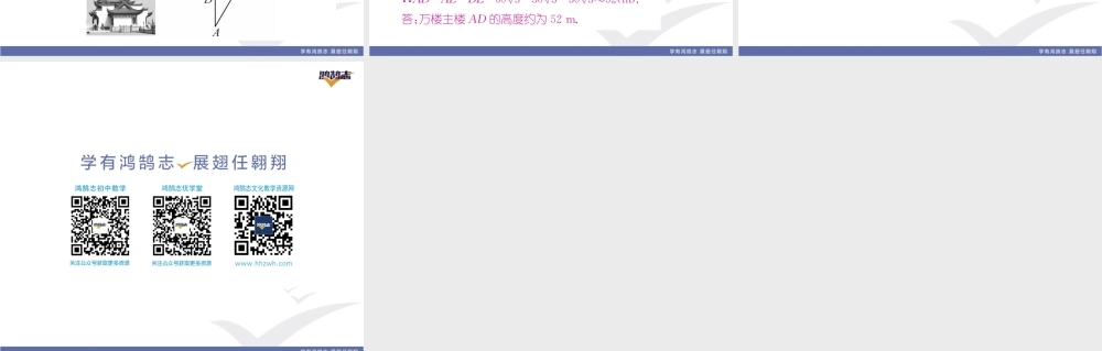 专题11 解直角三角形应用的五种基本模型.pptx