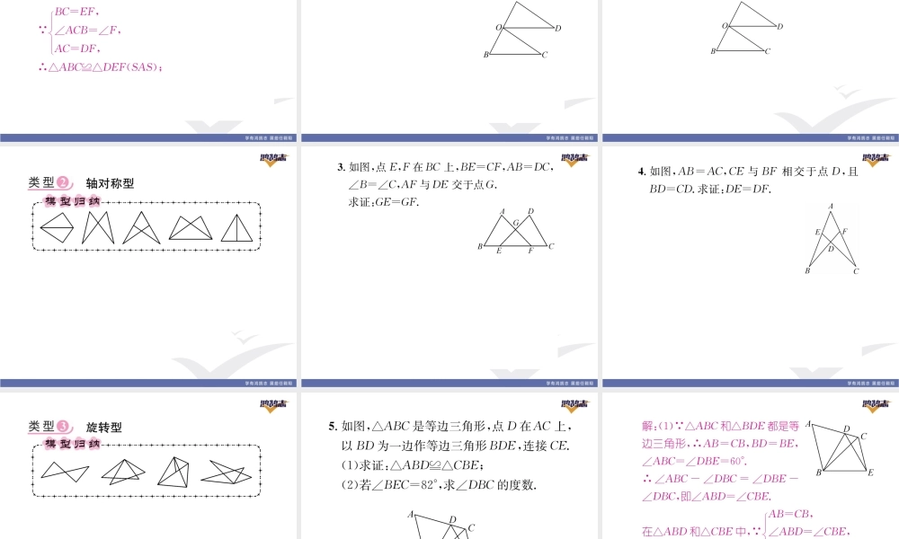 专题六全等三角形的常见模型.pptx