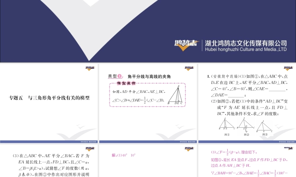 专题五与三角形角平分线有关的模型.pptx