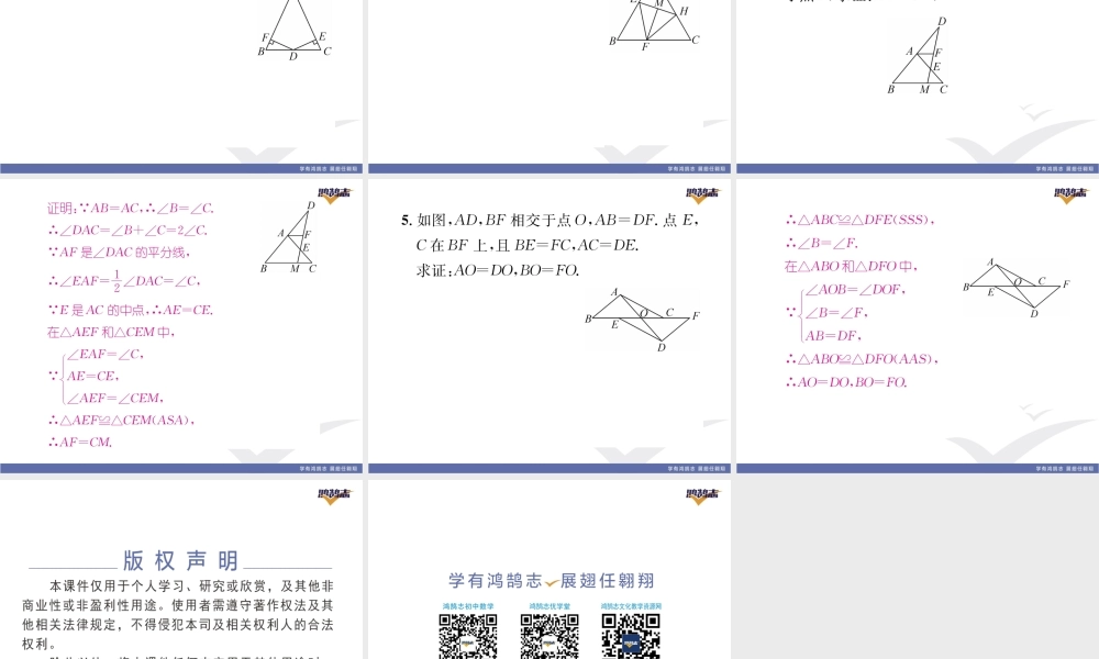 基本功专练（四）全等三角形的判定.pptx.pptx