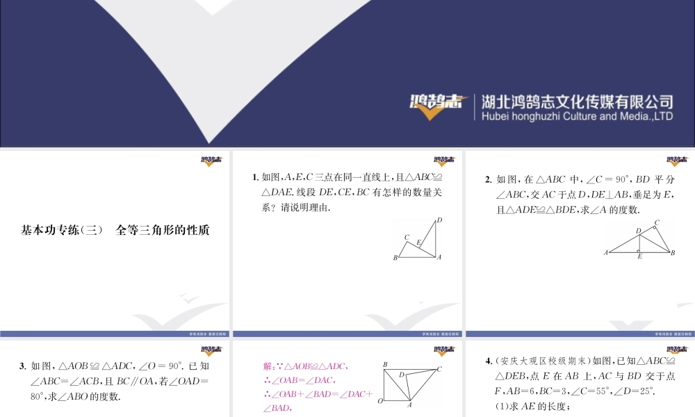 基本功专练（三）全等三角形的性质.pptx
