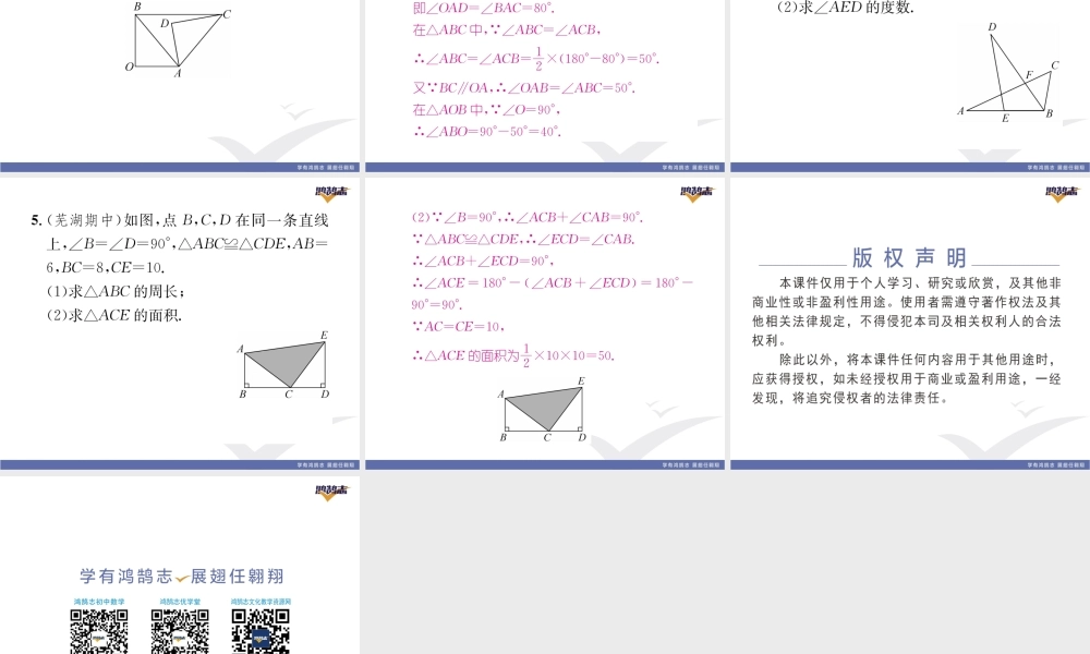 基本功专练（三）全等三角形的性质.pptx