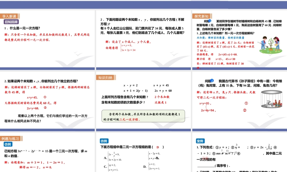 第1课时二元一次方程组.pptx