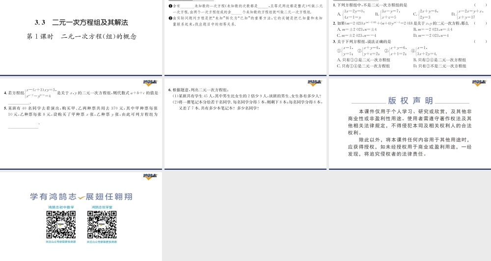 第1课时二元一次方程（组）的概念.pptx