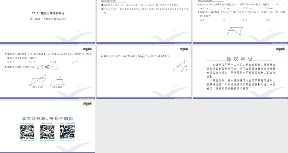 第1课时 平行线与相似三角形.pptx