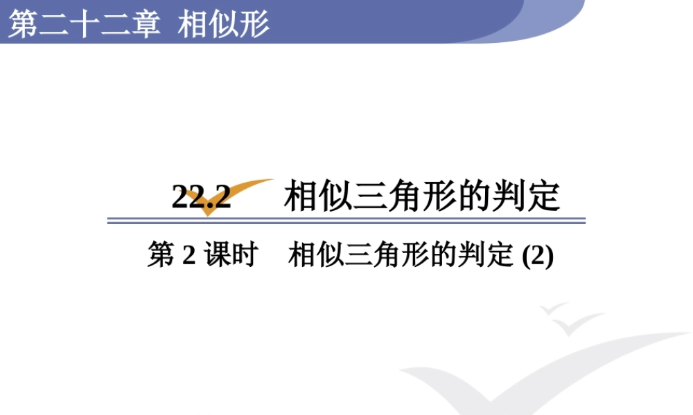 第2课时相似三角形的判定(2).pptx