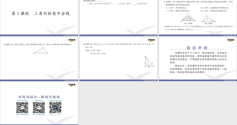 第3课时三角形的角平分线.pptx